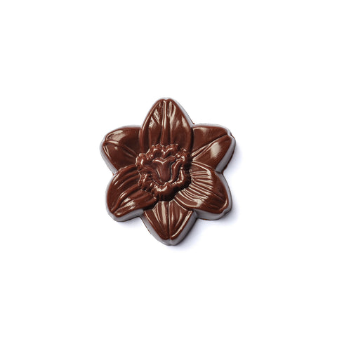 Lírios - Chocolate Negro