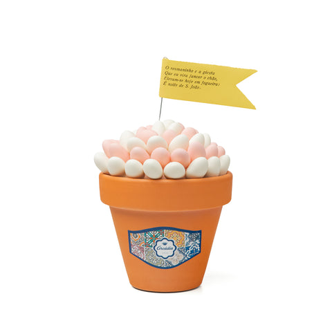 Manjerico - Baunilha